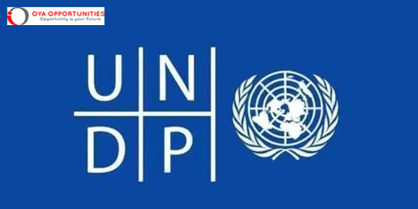 UN JPO Programme 2026 for Young Professionals (Paid UN Jobs)