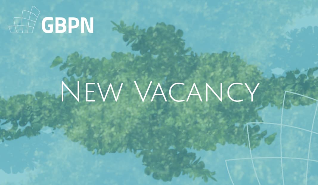 Africa Communications Coordinator