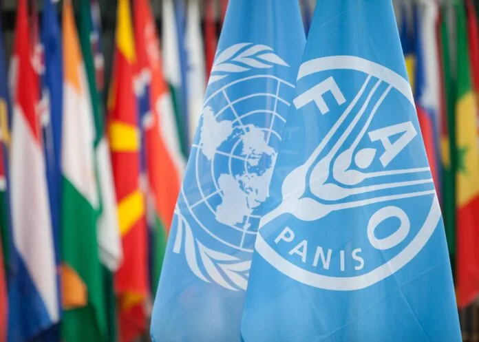 FAO Internship 2026 for Recent Graduates (Paid, International Opportunity)