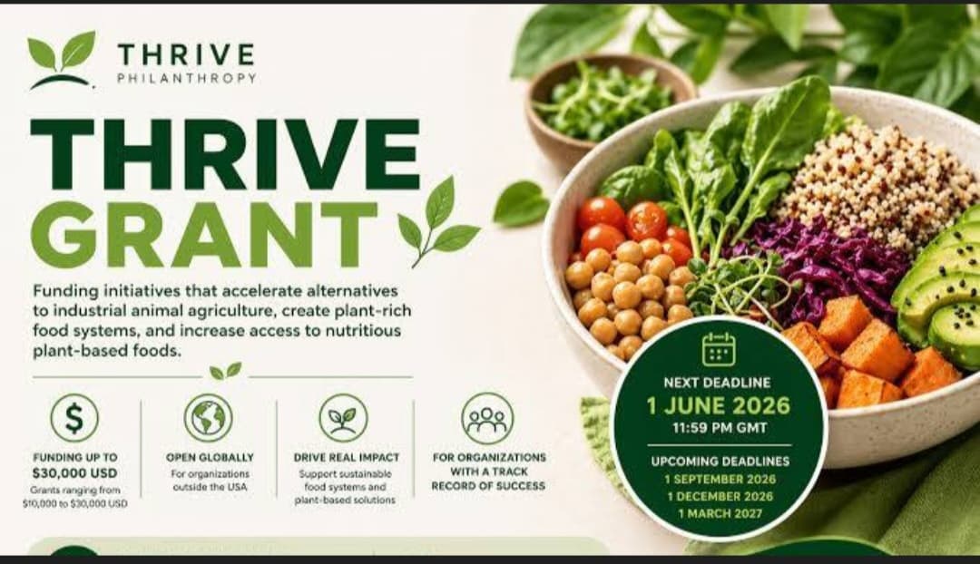 Thrive Grant 2026 for Nonprofit Organizations (Up to $30,000 Funding)