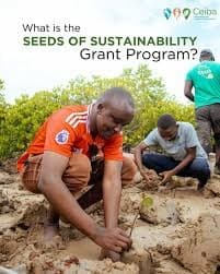 Seeds of Sustainability Grants 2026 for Small-Scale Organizations (Funding up to $10,000)