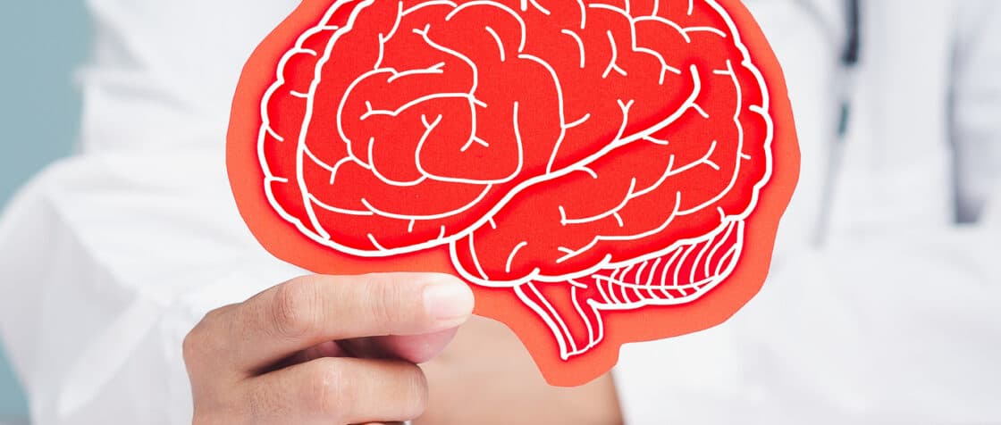Cognitive Neuroscience Program 2026 for Researchers (Funding Available)