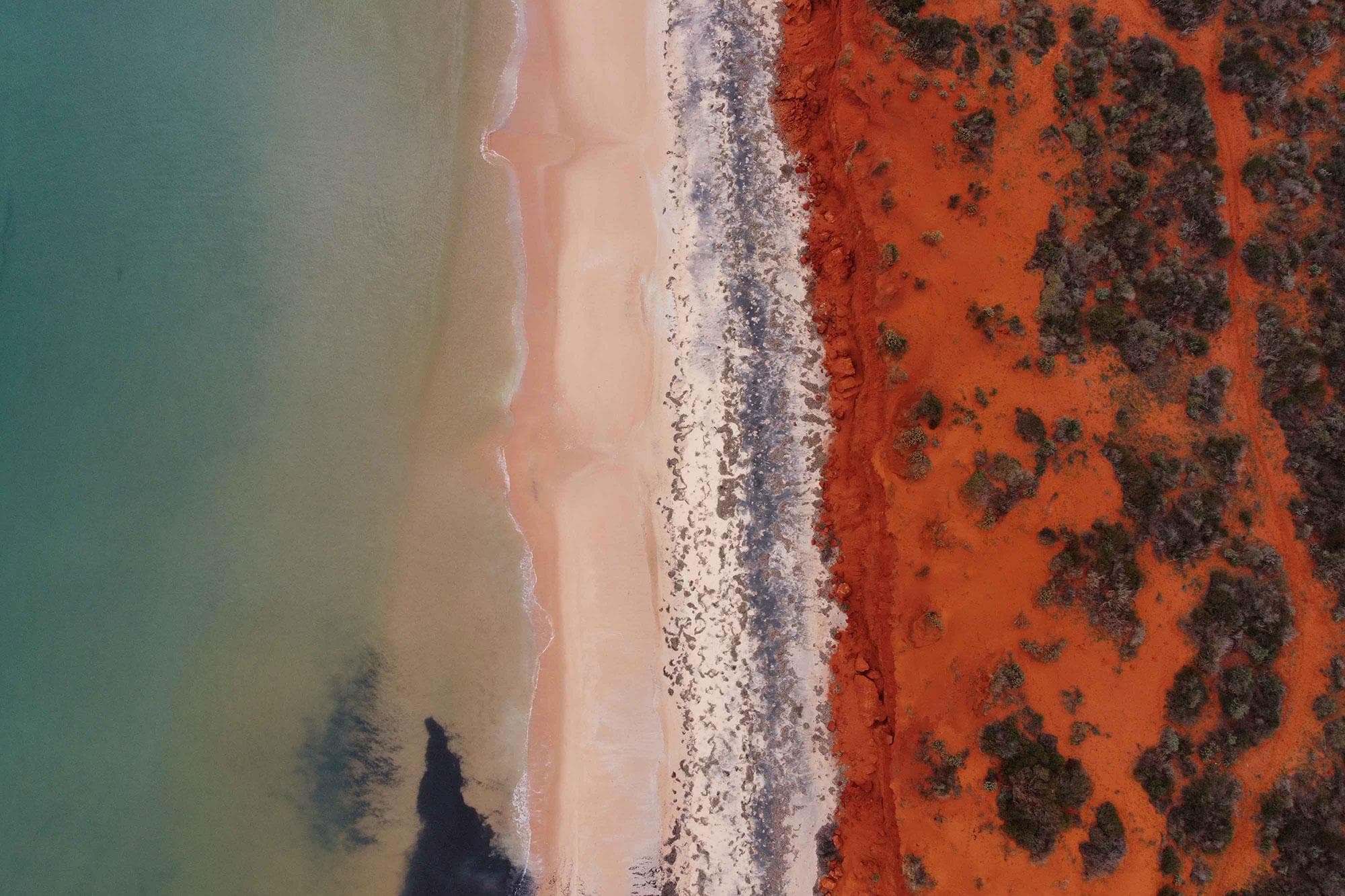 Australian-Swiss Joint Research Programme