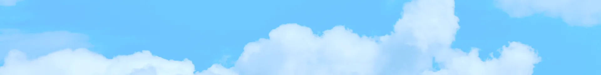 新・日本代表プログラム