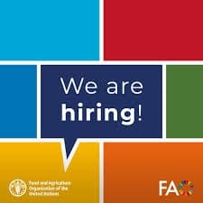 FAO National Project Personnel Job 2026 for Professionals in Agriculture (Competitive Salary)