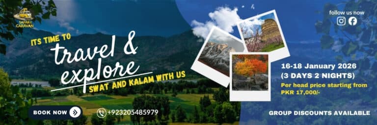 European Voice Assembly 2026 in Turkey | Fully Funded