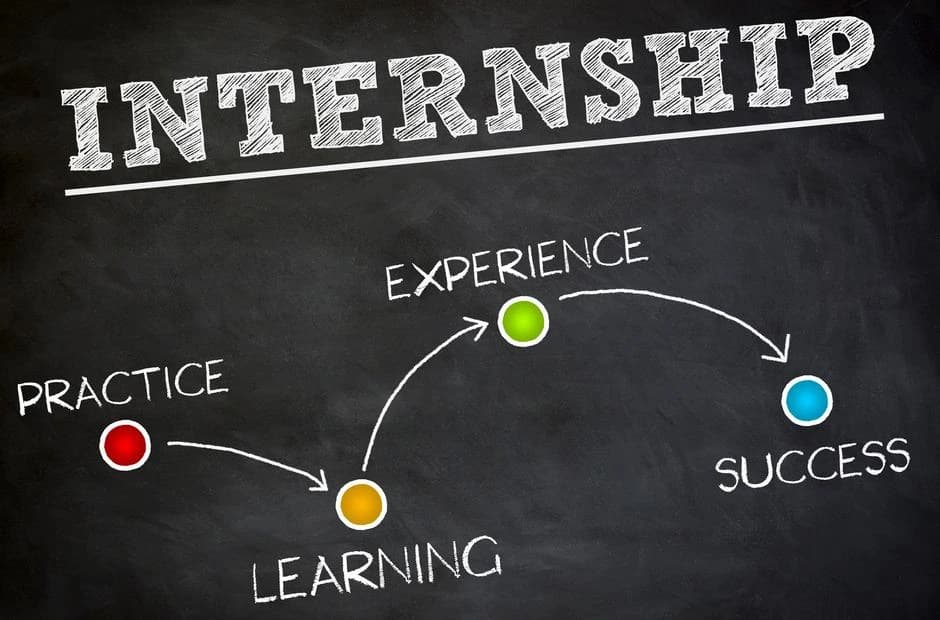 OECD Internship 2026 for Students & Graduates (Paid Internship)