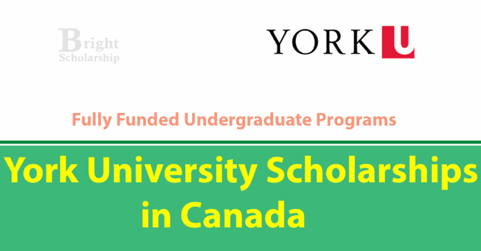 York University Scholarships 2026 for International Students (Funded)