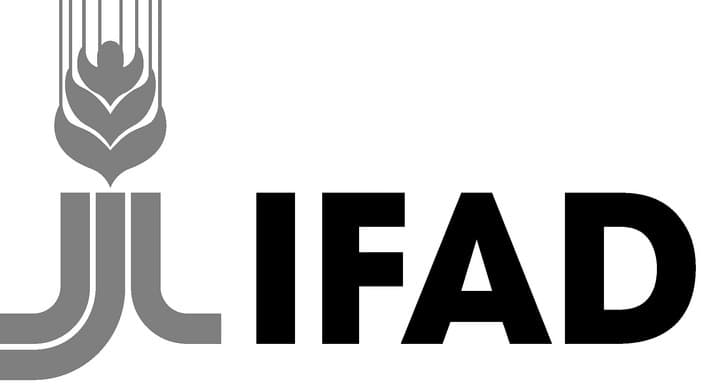 IFAD Internship Programme 2026 for Young Professionals (With Stipend)