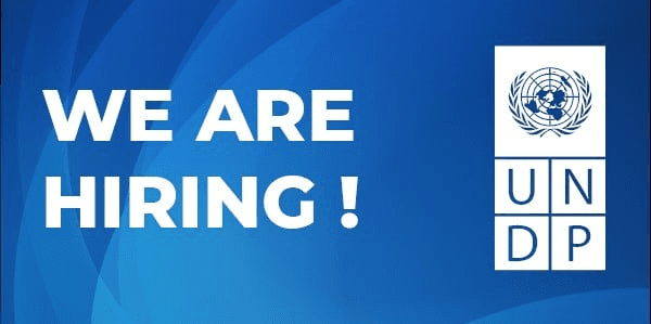 UNDP Statistics Internship 2026 for Graduate Students (Remote Option Available)