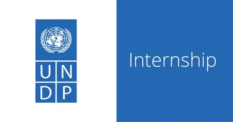 UNDP Digital, AI and Innovation Internship 2026 for Emerging Professionals (Global Remote Opportunity)
