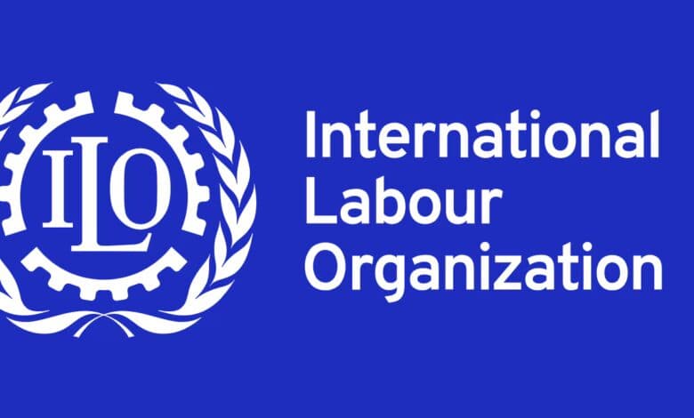 Remote Statistical Consultant 2026 for Data Professionals (Contribute to Labor Research)