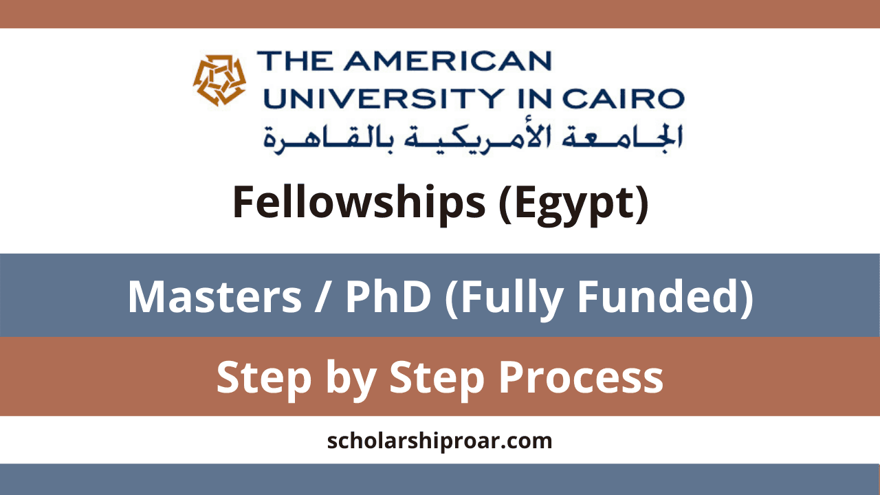 American University in Cairo Fellowships