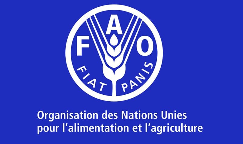 Nouvelle Opportunité au Bureau de la FAO